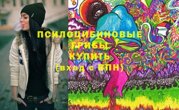 ГАЛЛЮЦИНОГЕННЫЕ ГРИБЫ Алзамай