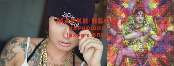 ГАЛЛЮЦИНОГЕННЫЕ ГРИБЫ Алзамай
